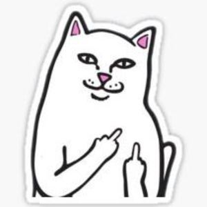 Meet your Posher, Jorge